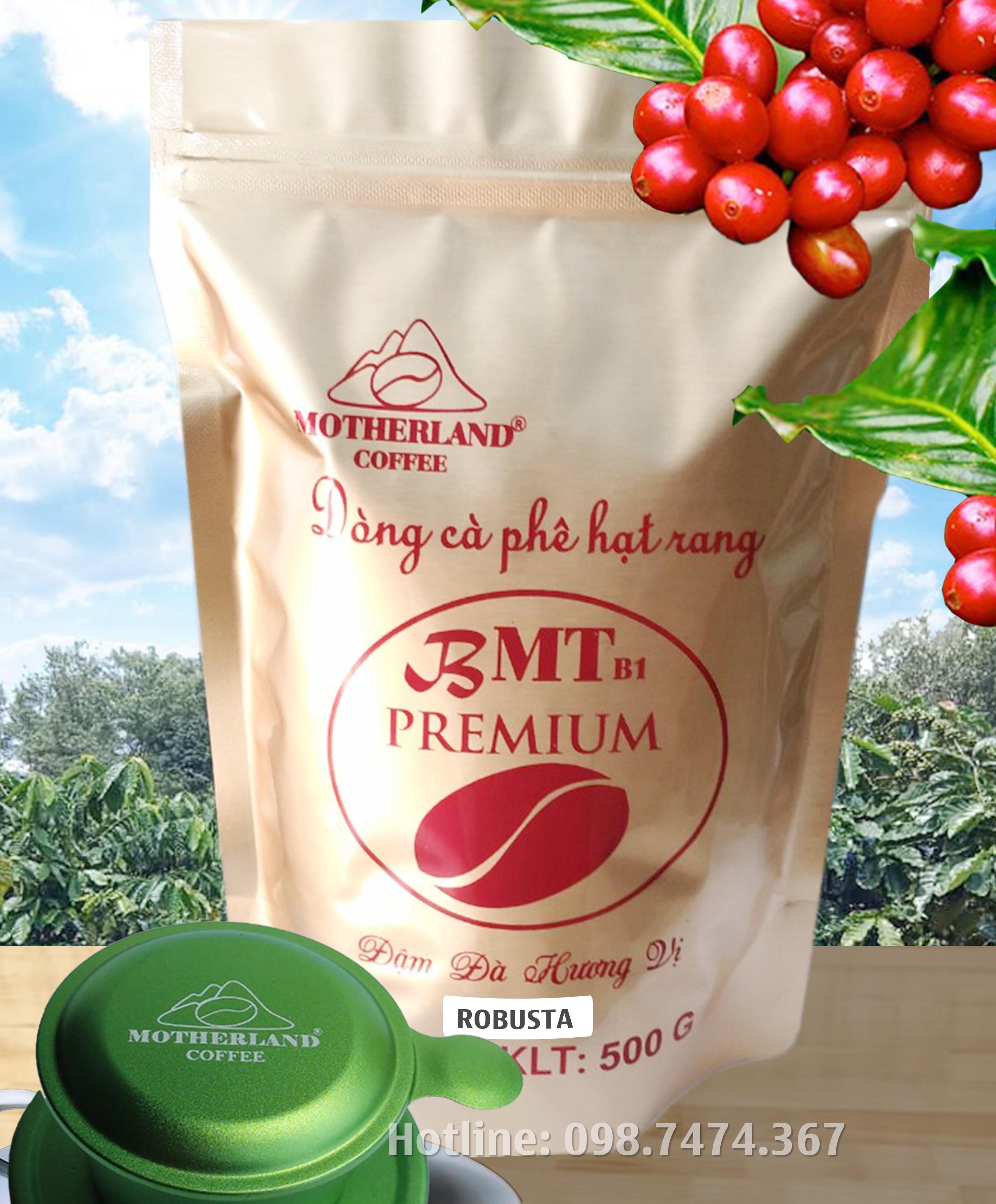 Cà phê hạt rang xay nguyên chất ngon có hộp làm quà tặng Cà phê hạt rang xay nguyên chất ngon có hộp làm quà tặng