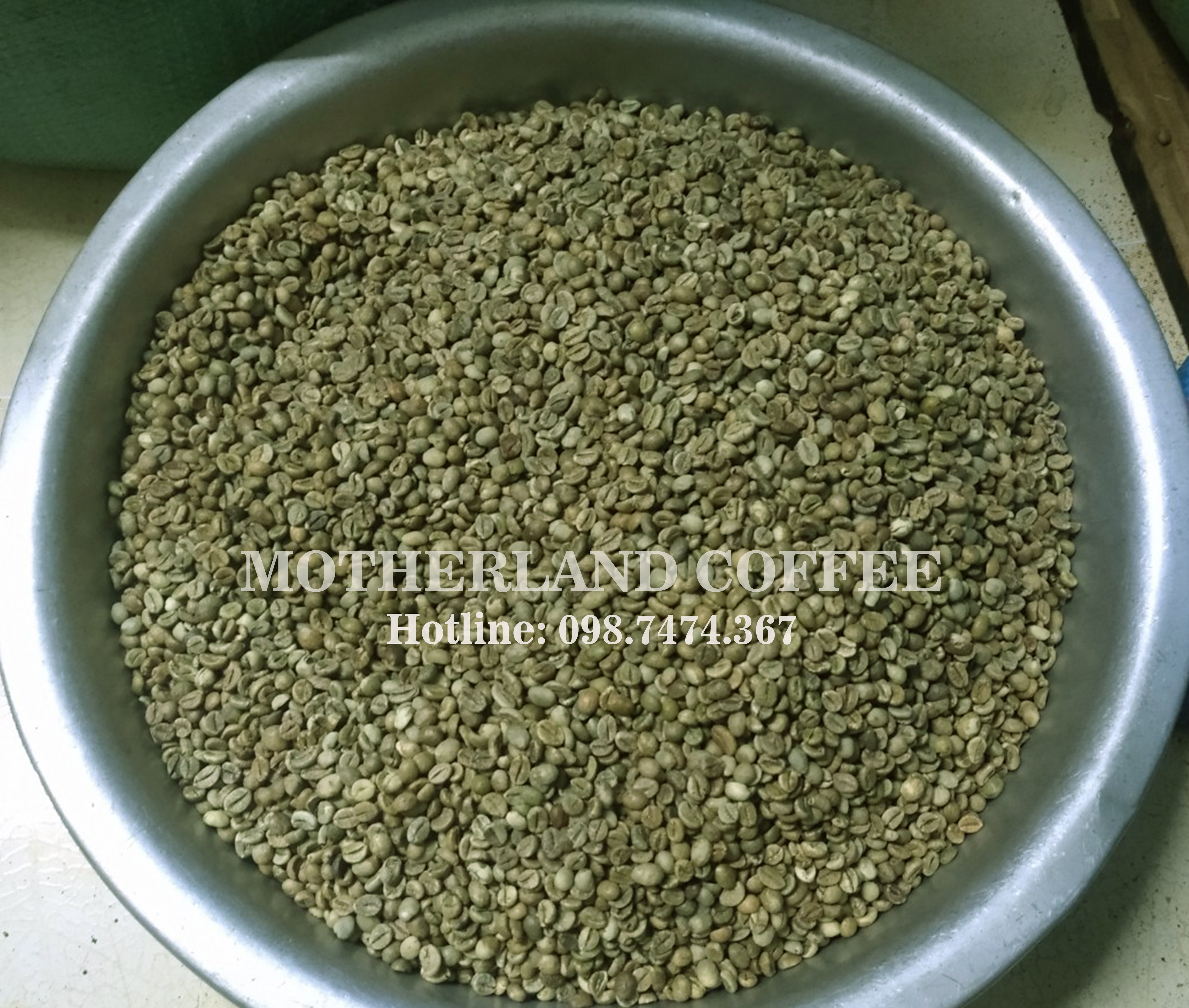 cà phê nhân robusta hạt chưa rang sàn 18 cà phê nhân robusta hạt chưa rang sàn 18