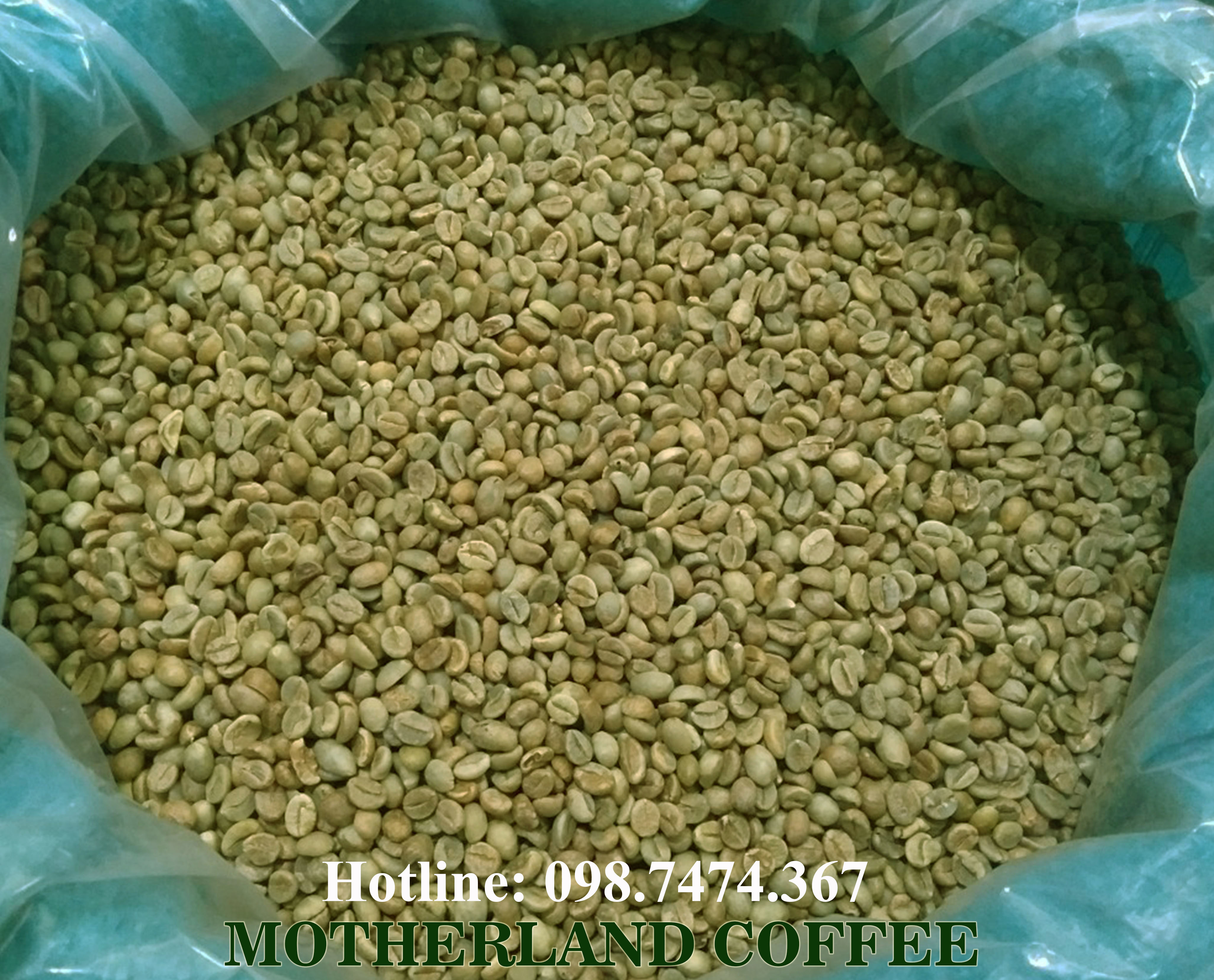 cà phê nhân xanh robusta honey 5kg cà phê nhân xanh robusta honey 5kg