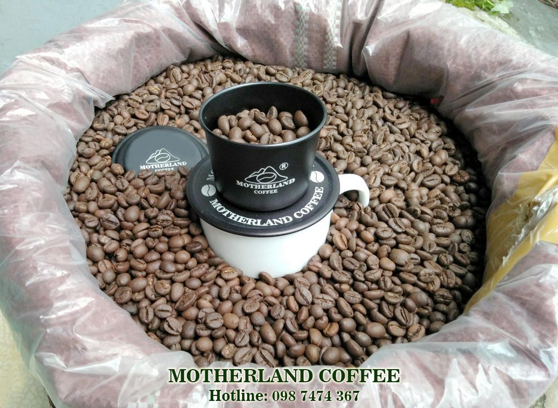 cà phê robusta honey motherland cà phê robusta honey motherland