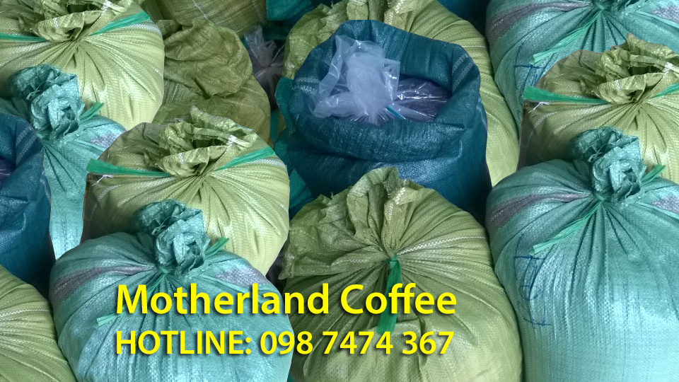 bao cà phê robusta giá sỉ cho quán bao cà phê robusta giá sỉ cho quán