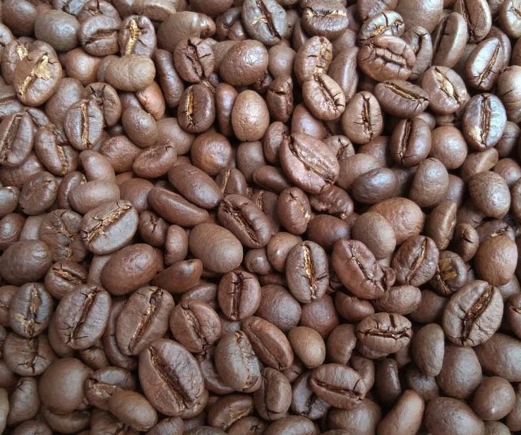cafe robusta honey hạt rang mộc cafe robusta honey hạt rang mộc