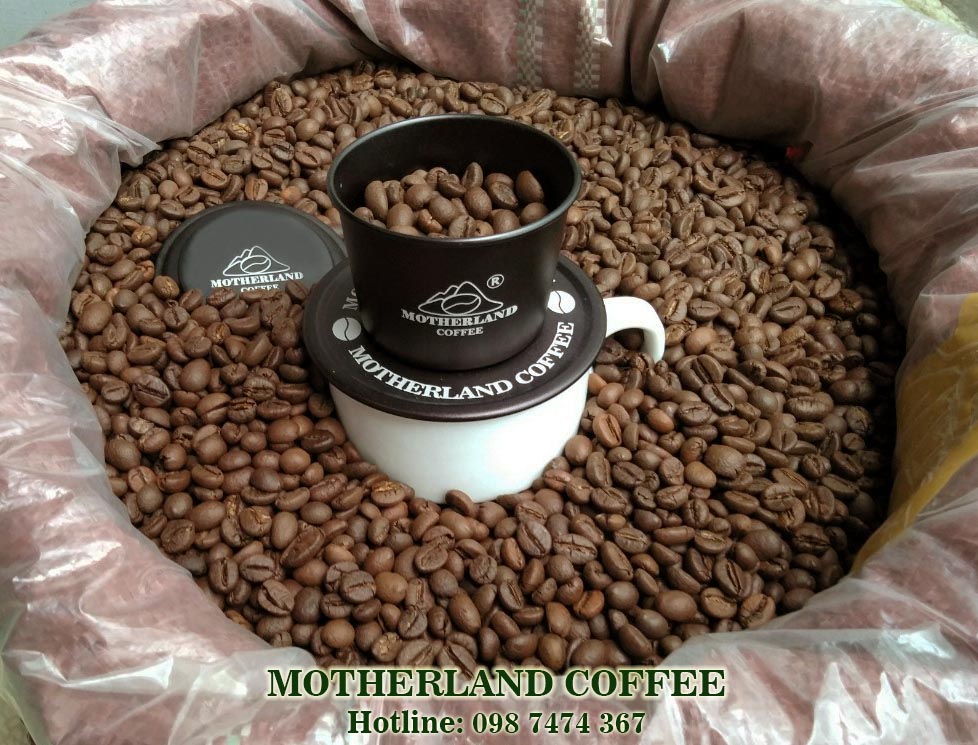cà phê robusta trộn arabica đà lạt rang mộc uống ngon