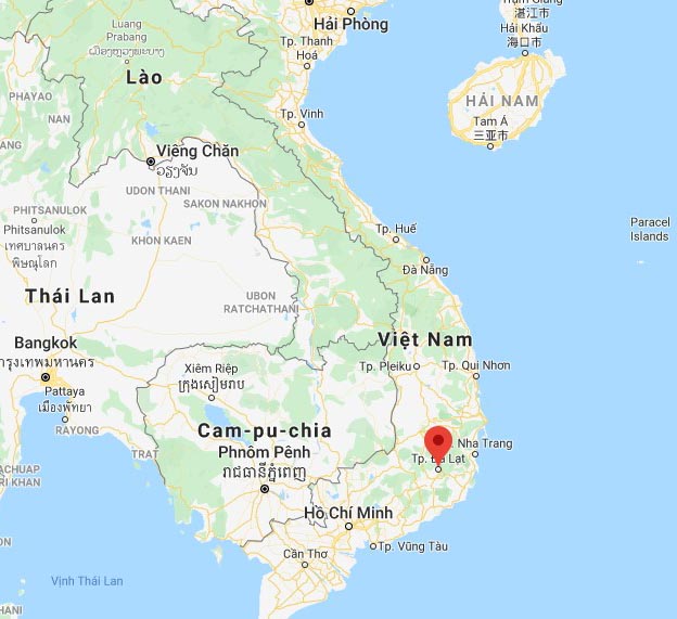 cây cà phê arabica được trồng ở đâu ngon ở Đà Lạt cây cà phê arabica được trồng ở đâu ngon ở Đà Lạt