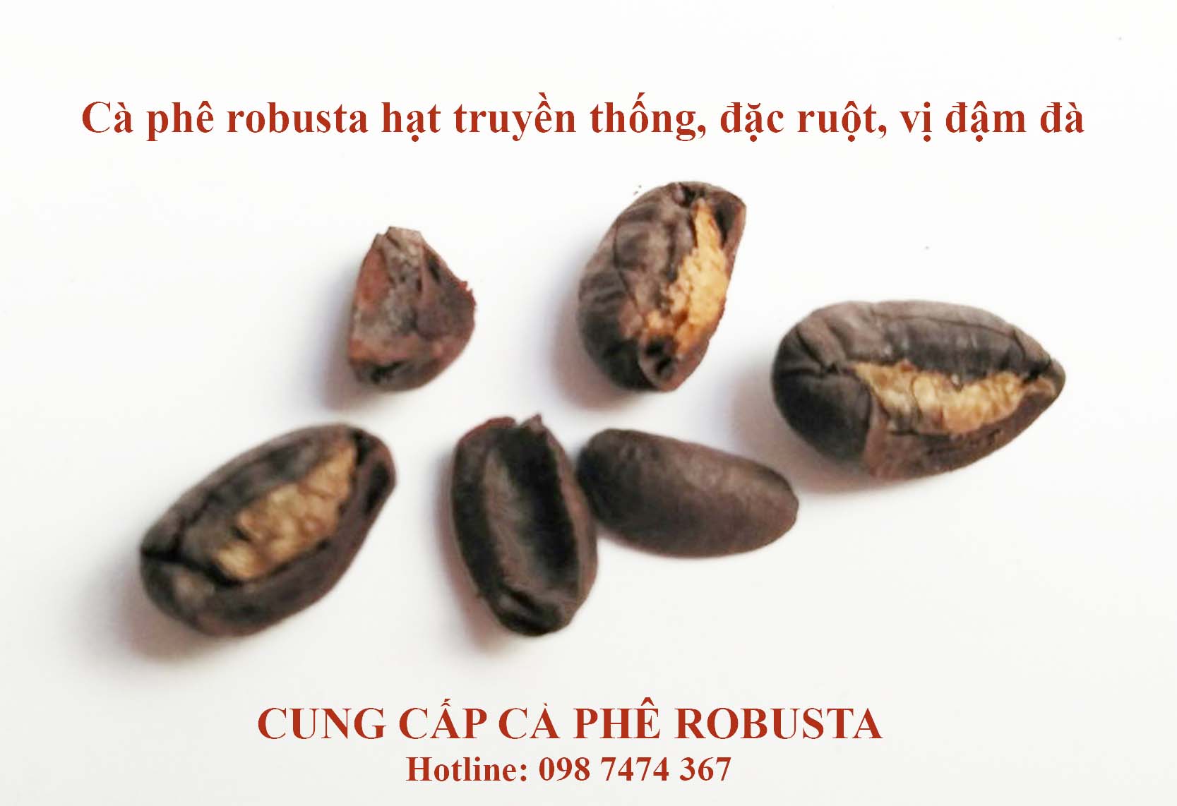 dòng cà phê robusta truyền thống sàn 16, 18 nhỏ mà có võ dòng cà phê robusta truyền thống sàn 16, 18 nhỏ mà có võ