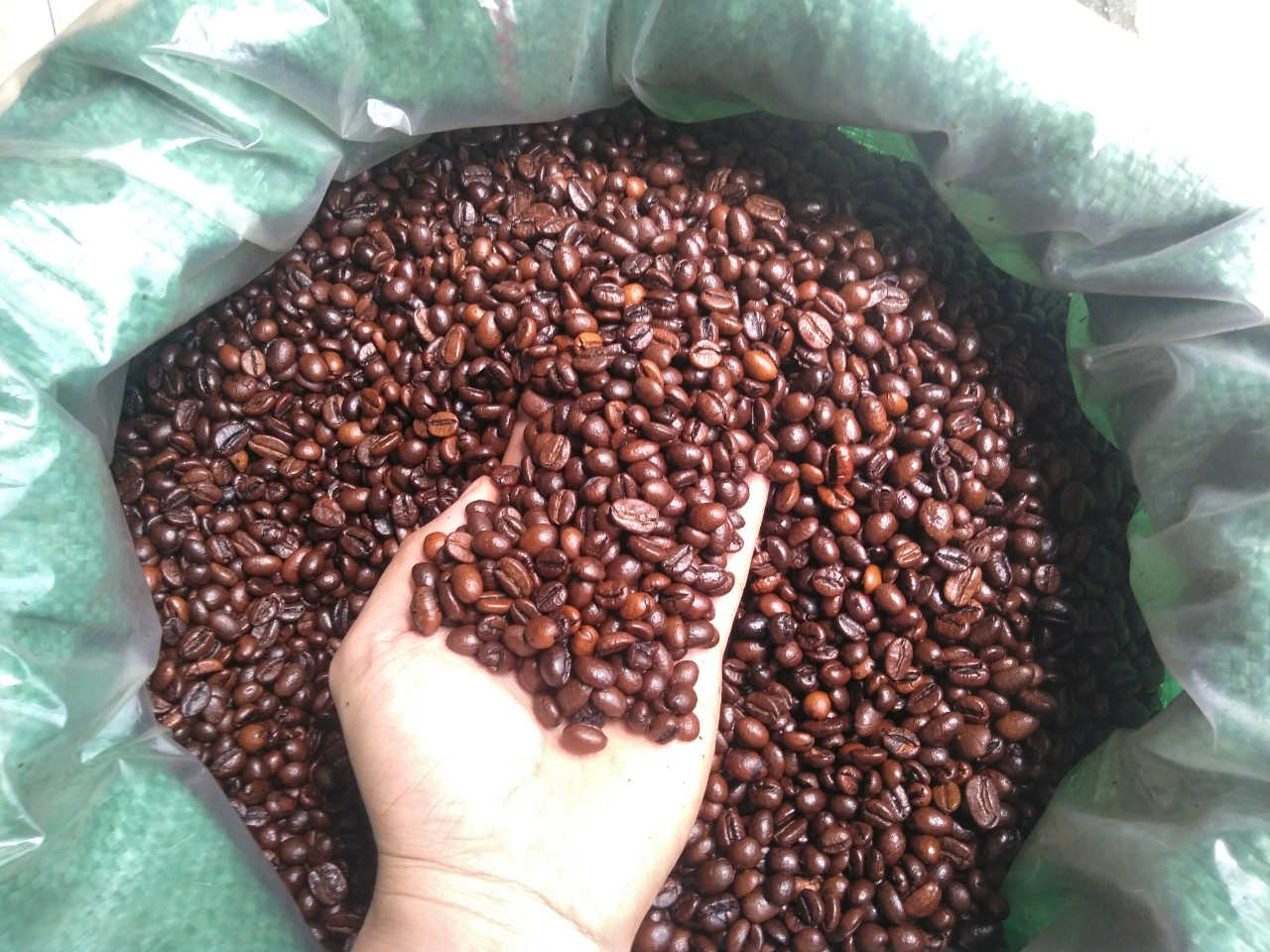 giá 1kg cà phê hạt giá 1kg cà phê hạt