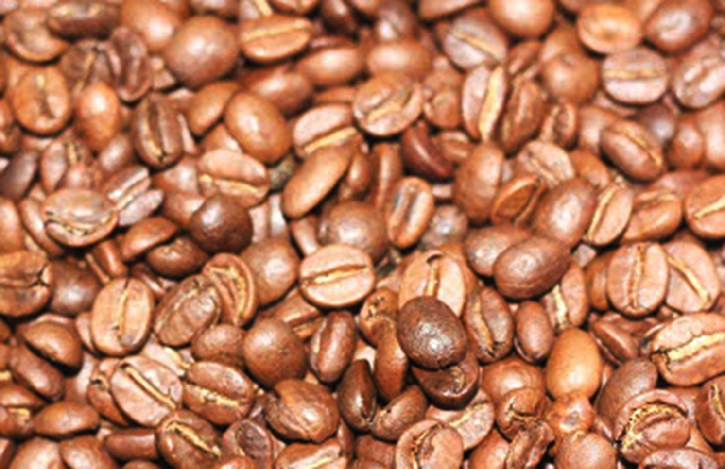 nguồn cà phê ngon tại tphcm nguồn cà phê ngon tại tphcm