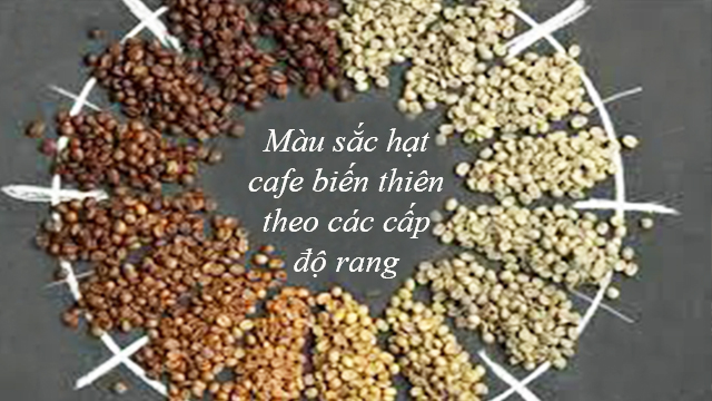 rang cà phê ngon theo các cấp độ rang rang cà phê ngon theo các cấp độ rang