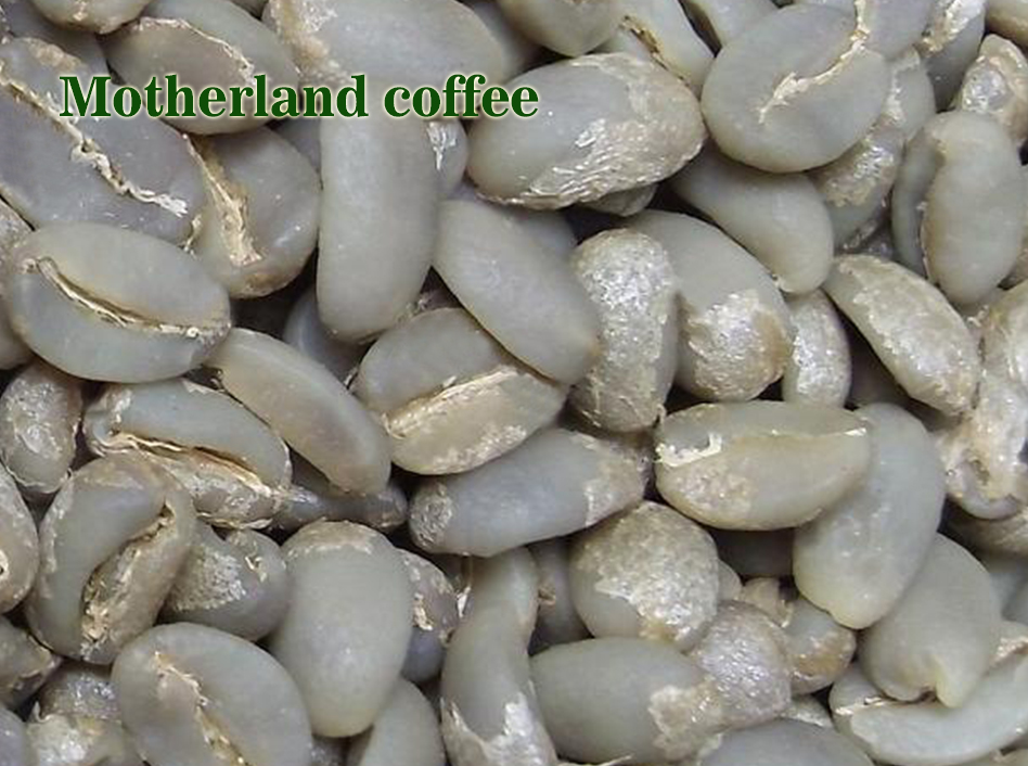 cafe nhân arabica - rang gia công cà phê là một nghệ thuật cafe nhân arabica - rang gia công cà phê là một nghệ thuật