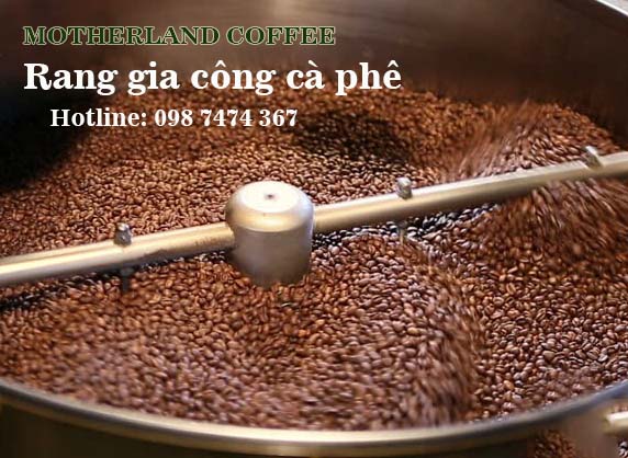 RANG GIA CÔNG CÀ PHÊ LÀ MỘT NGHỆ THUẬT - MOTHERLAND COFFEE