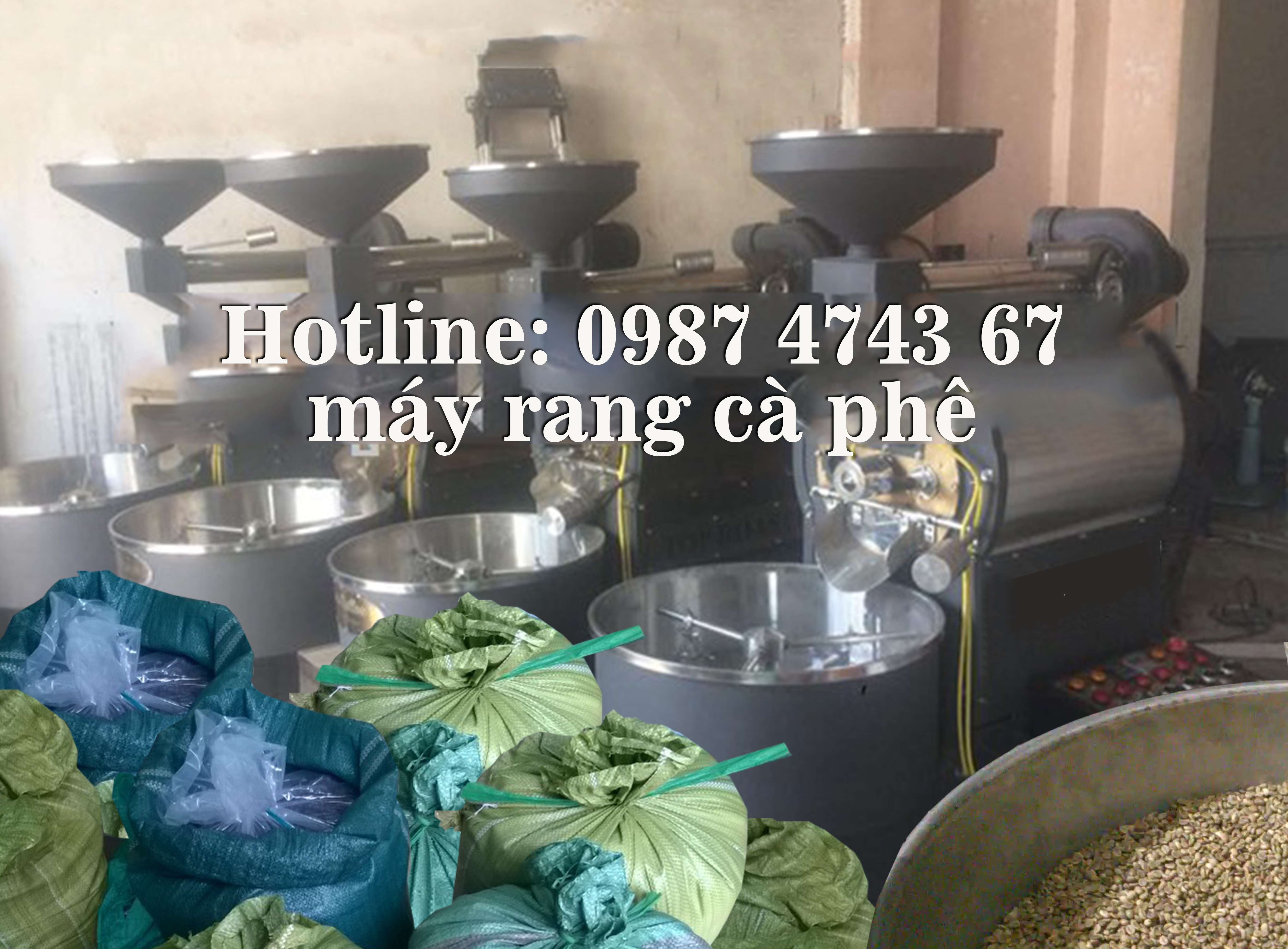 rang gia công cung cấp cà phê hạt giá sỉ - Motherland coffee rang gia công cung cấp cà phê hạt giá sỉ - Motherland coffee