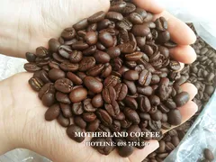 CUNG CẤP CÀ PHÊ HẠT PHA MÁY ESPRESSO GIÁ RẺ CHO QUÁN TẠI TPHCM