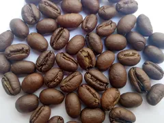CUNG CẤP CÀ PHÊ HẠT GIÁ SỈ CHO QUÁN - MOTHERLAND COFFEE
