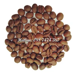 CÀ PHÊ ROBUSTA RANG MỘC S18