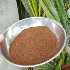 Cà phê dùng để làm đẹp - Motherland coffee