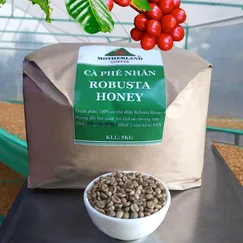 Cà phê nhân xanh Robusta Honey mẻ rang 5kg