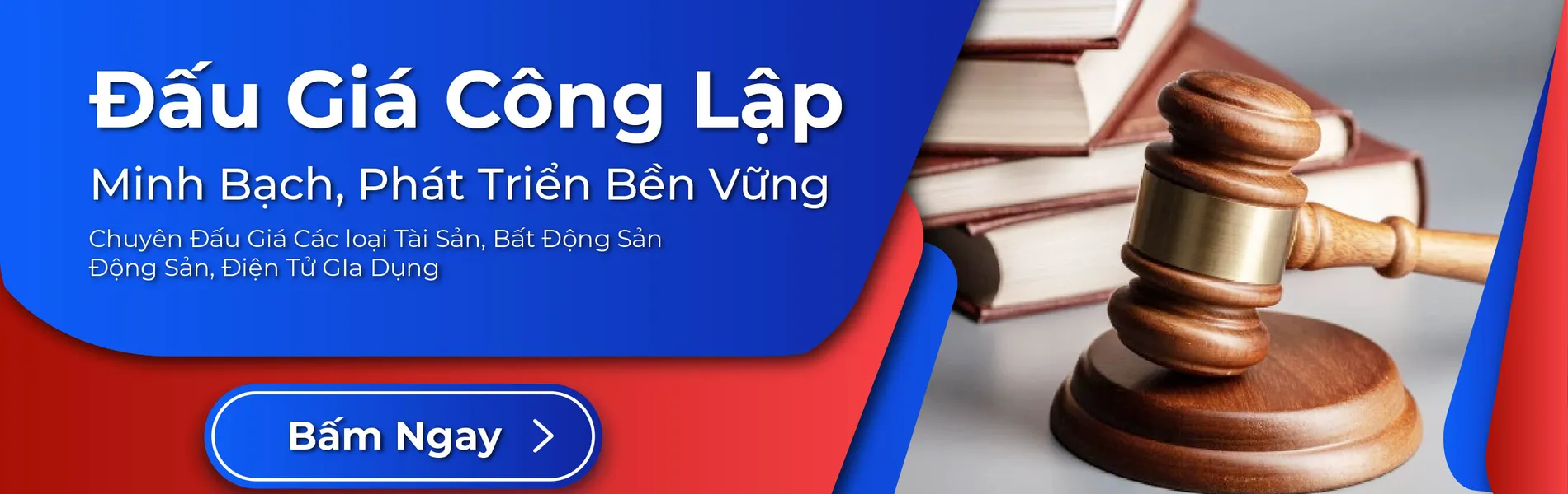 đấu giá công lập