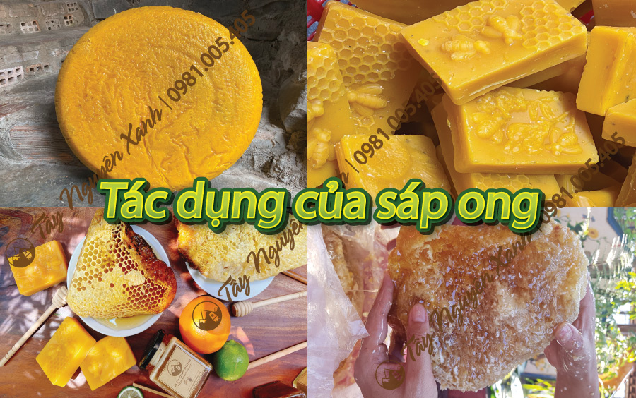 tác dụng của sáp ong tác dụng của sáp ong