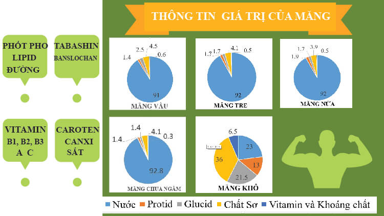 Giá trị dinh dưỡng của các loại măng ăn măng có tốt không