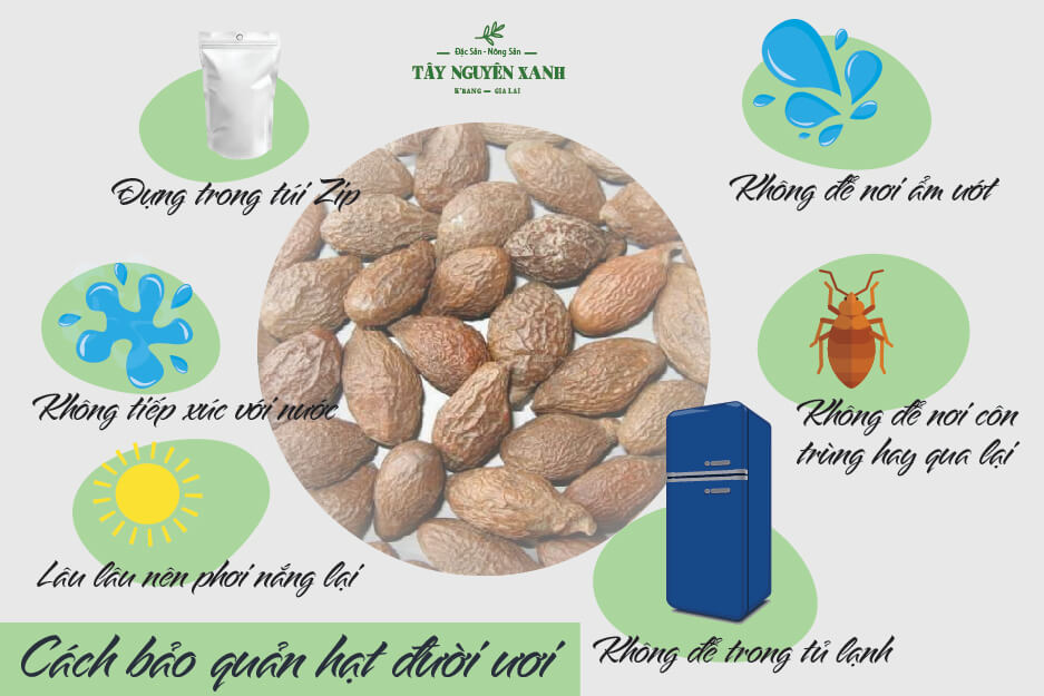 cách bảo quản hạt đười ươi cách bảo quản hạt đười ươi