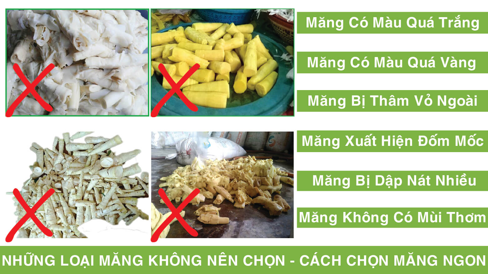 cách chọn măng tươi ngon cách chọn măng tươi ngon