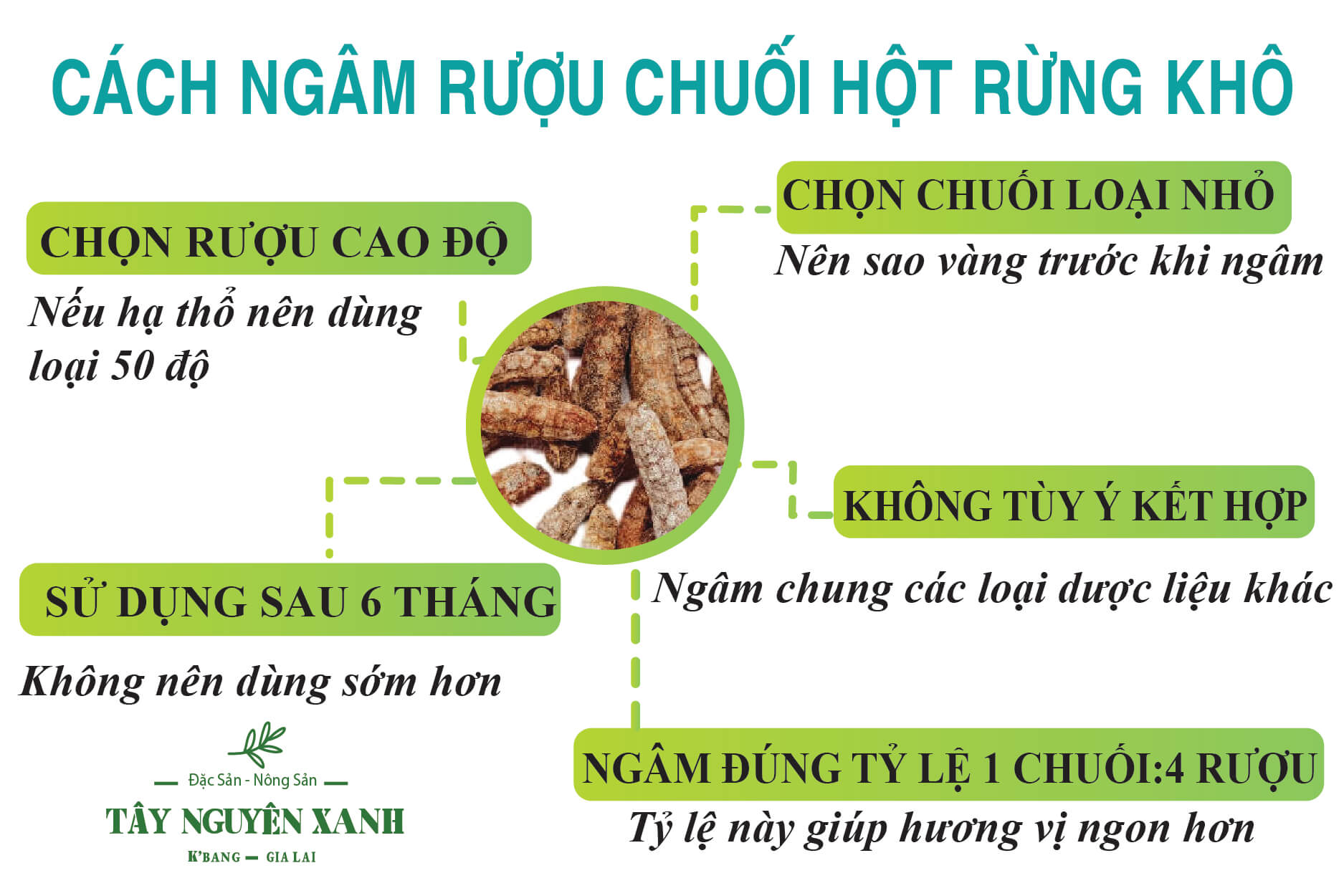 cách ngâm rượu chuối hột rừng cách ngâm rượu chuối hột rừng