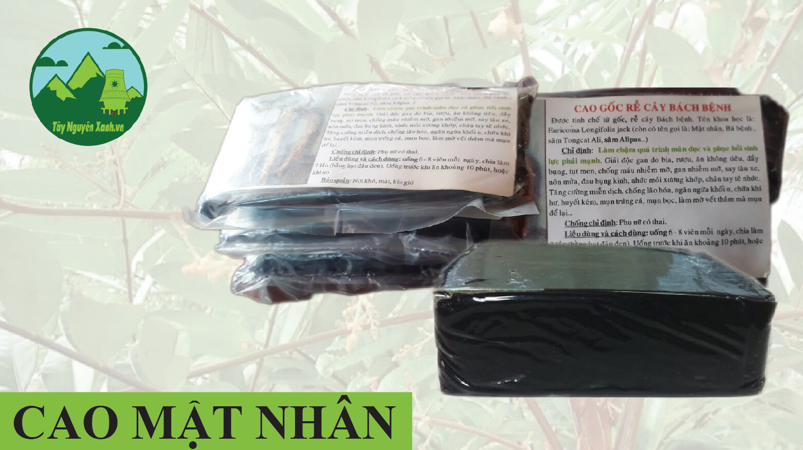 cao mật nhân cao mật nhân