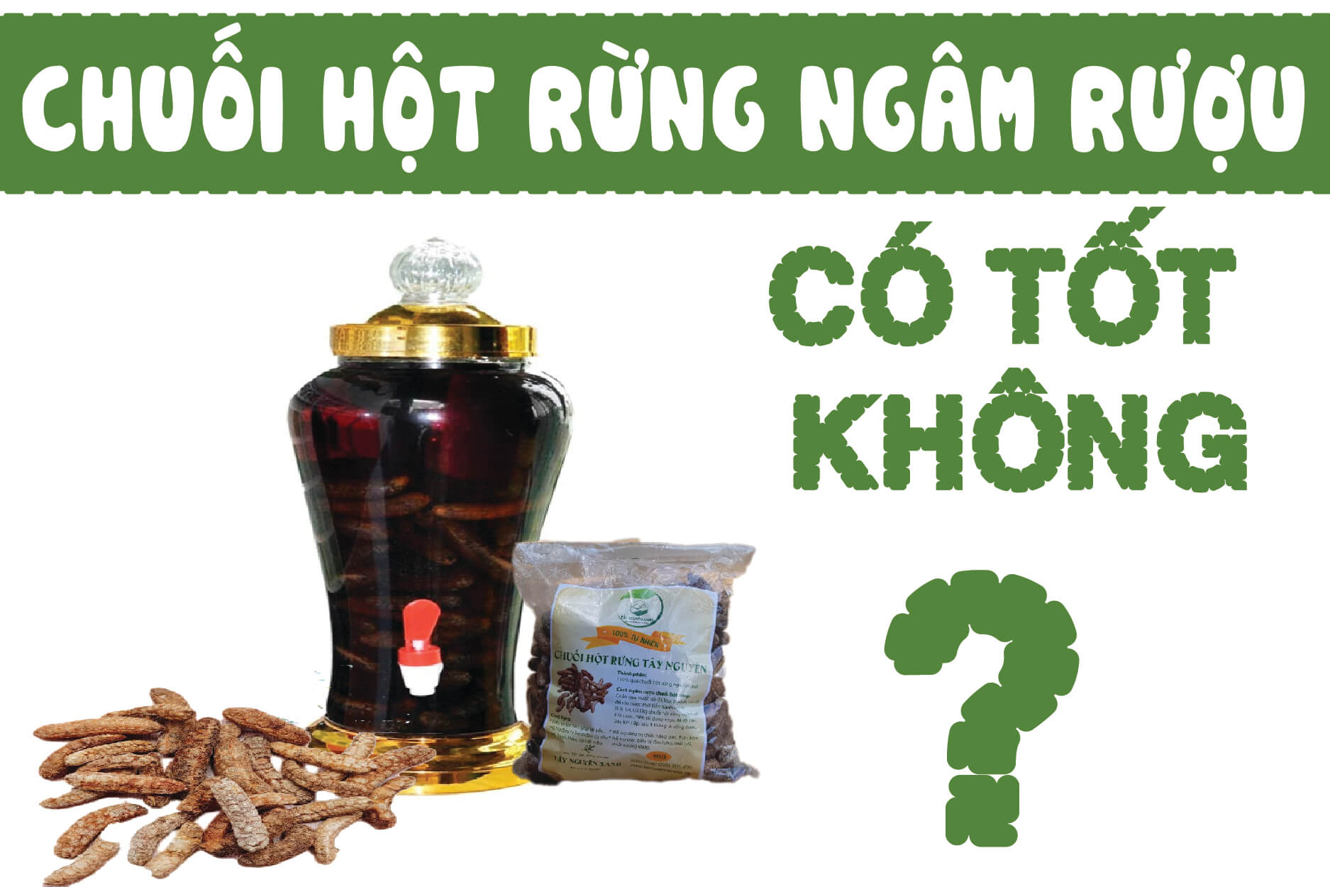 chuối hột rừng ngâm rượu chuối hột rừng ngâm rượu