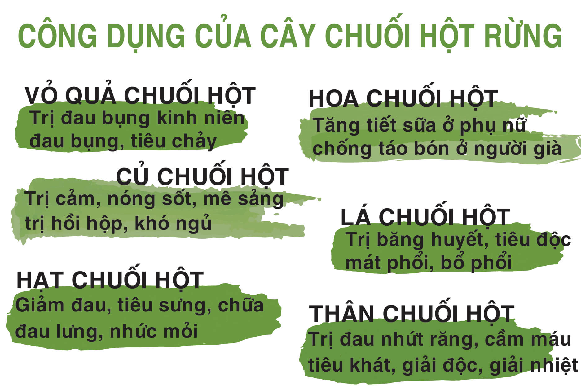 chuối hột rừng trị bệnh gì chuối hột rừng trị bệnh gì