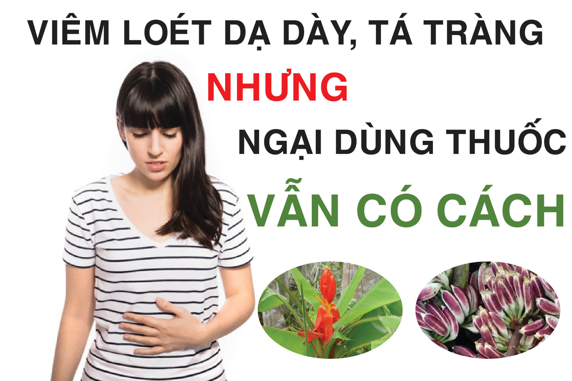 chuối hột rừng trị viêm loét dạ dày chuối hột rừng trị viêm loét dạ dày