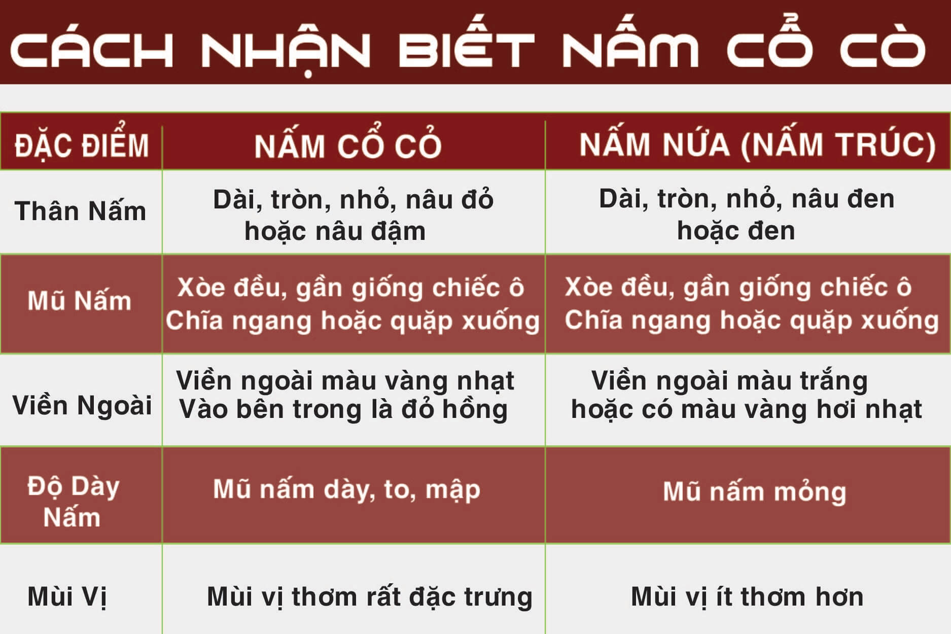 đặc điểm của nấm linh chi cổ cò rừng đặc điểm của nấm linh chi cổ cò rừng