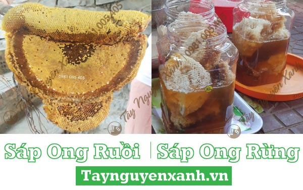 giá sáp ong rừng ngâm rượu giá sáp ong rừng ngâm rượu