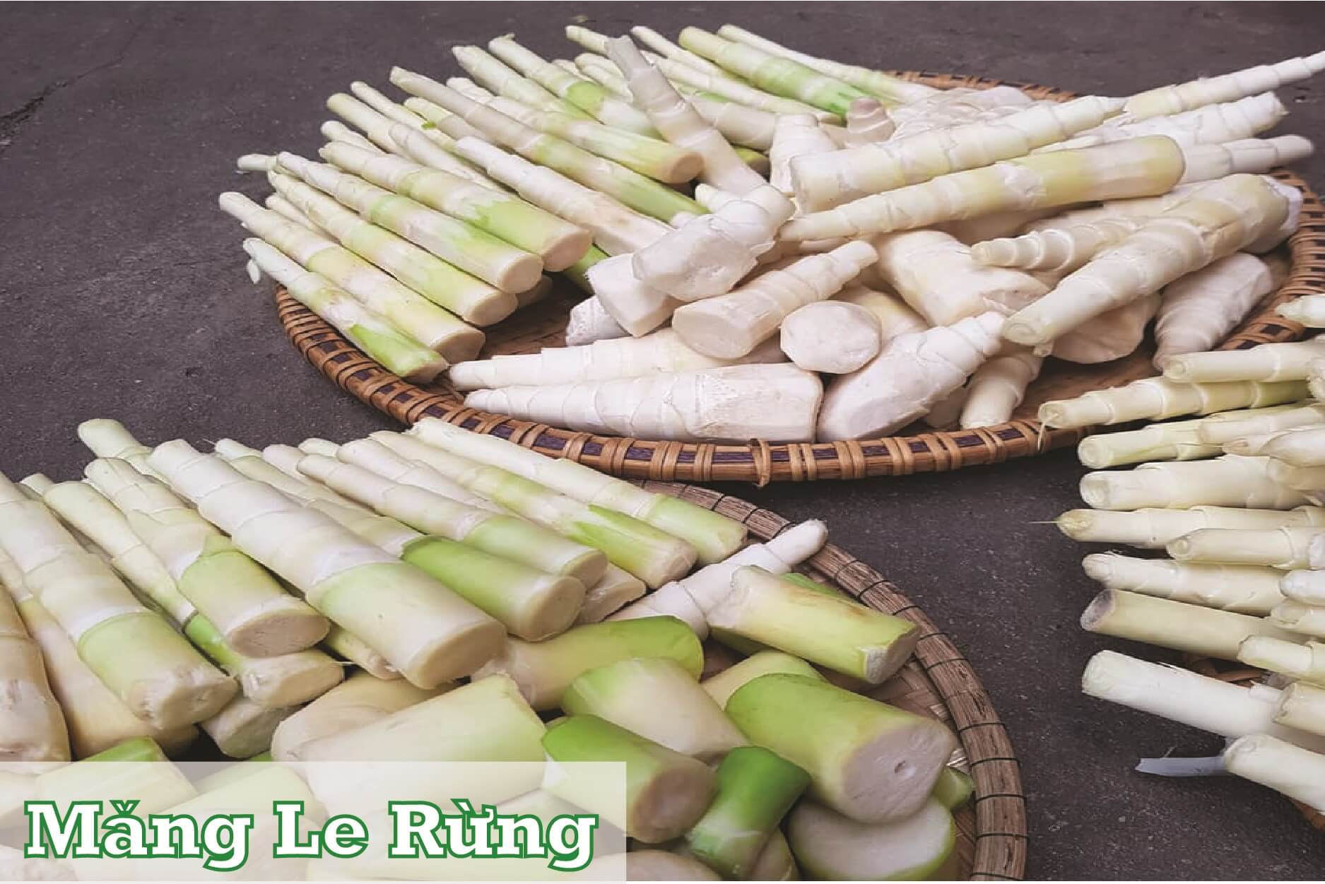 măng le rừng đặc sản kbang măng le rừng đặc sản kbang