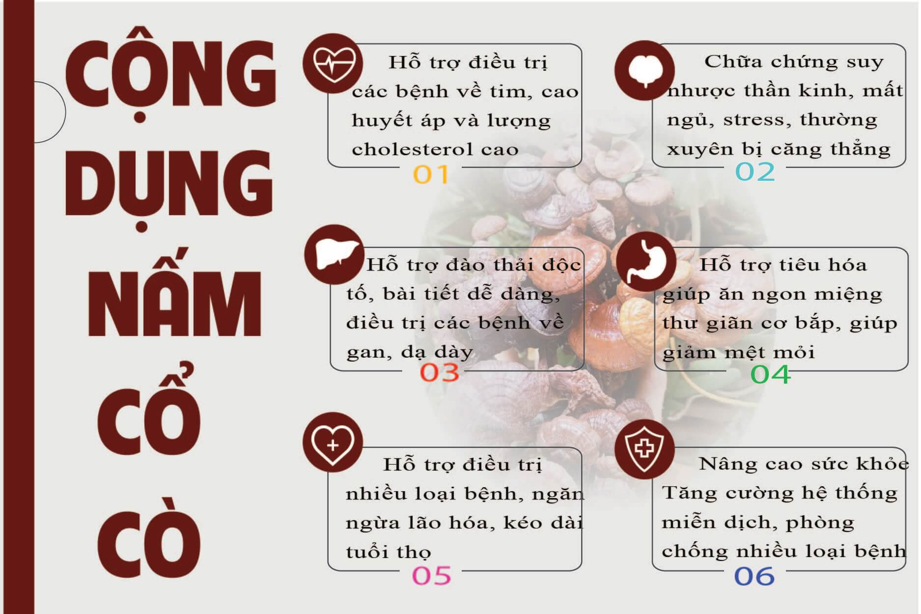 Công Dụng Của Nấm Linh Chi Đen