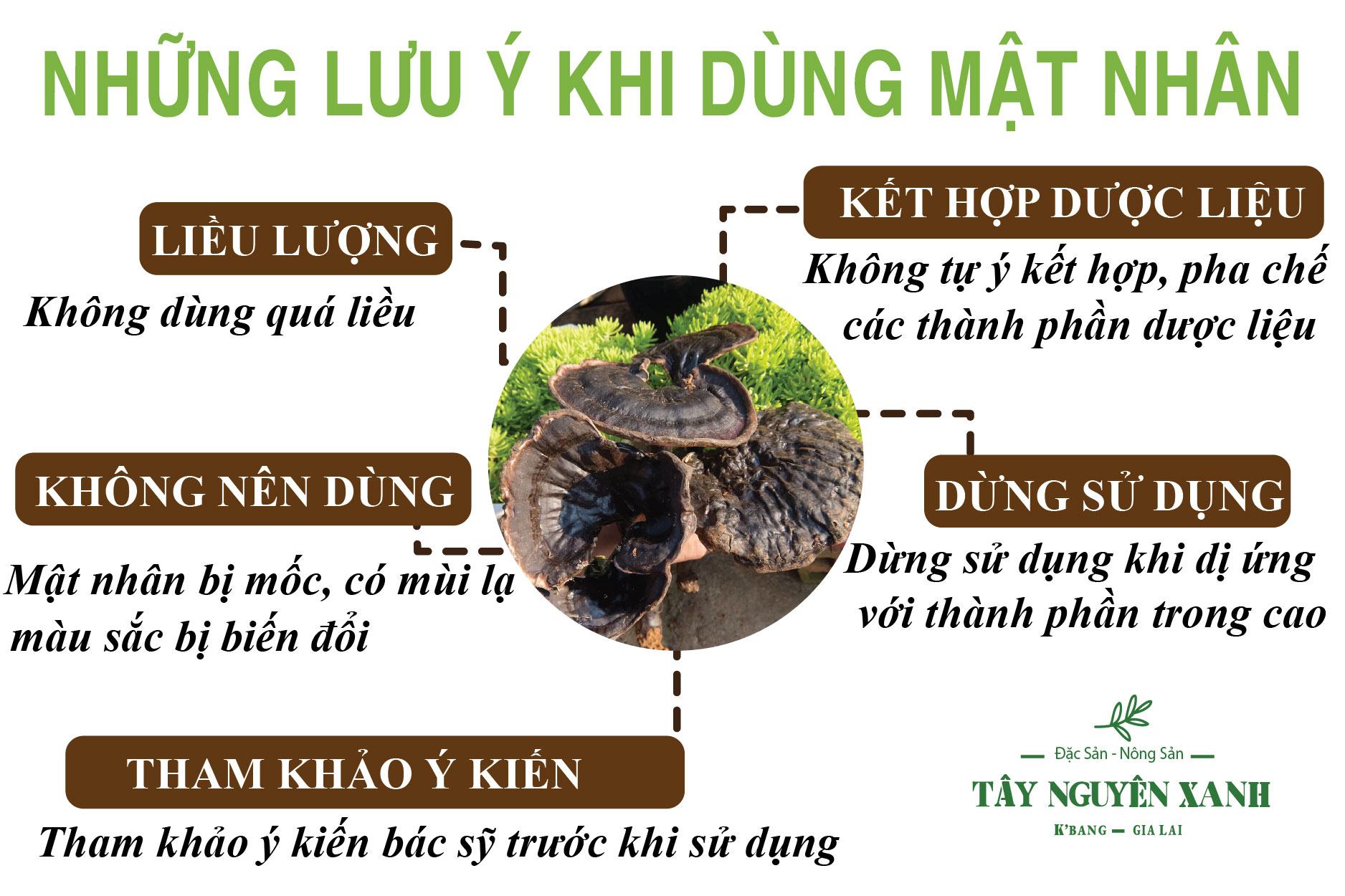 những lưu ý khi dùng mật nhân những lưu ý khi dùng mật nhân
