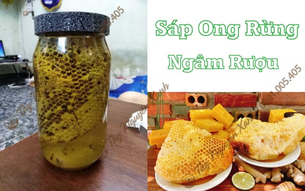 rượu sáp ong rừng rượu sáp ong rừng