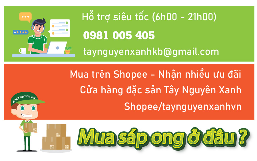 sáp ong mua ở đâu sáp ong mua ở đâu