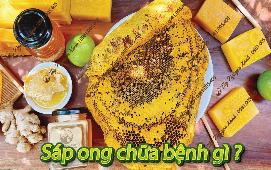 sáp ong chữa bệnh gì sáp ong chữa bệnh gì