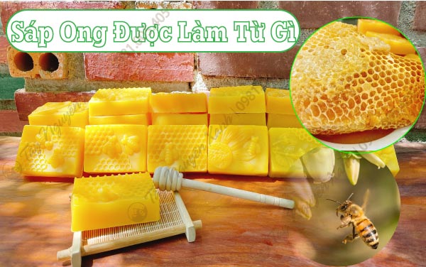 sáp ong được làm từ gì sáp ong được làm từ gì