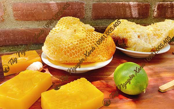 sáp ong khoái tây nguyên sáp ong khoái tây nguyên