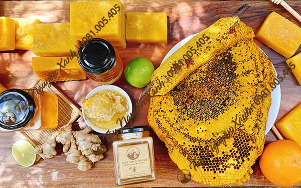 sáp ong ruồi có tác dụng gì tây nguyên sáp ong ruồi có tác dụng gì tây nguyên