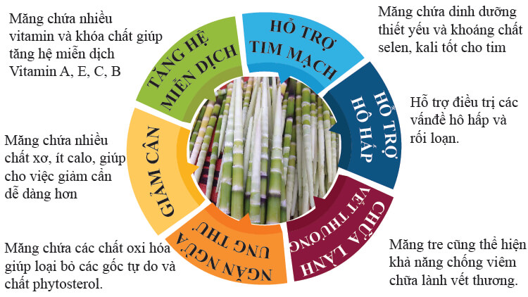 tác dựng của măng khô tác dụng của măng khô
