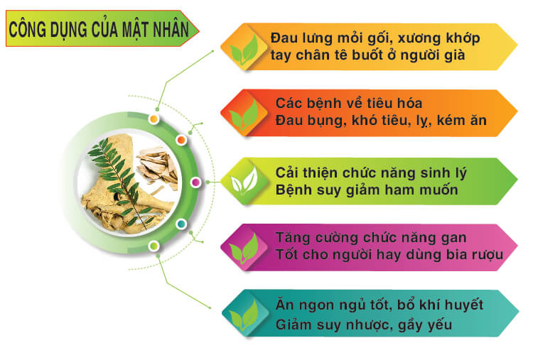 Tác dụng của cây mật nhân Tác dụng của cây mật nhân