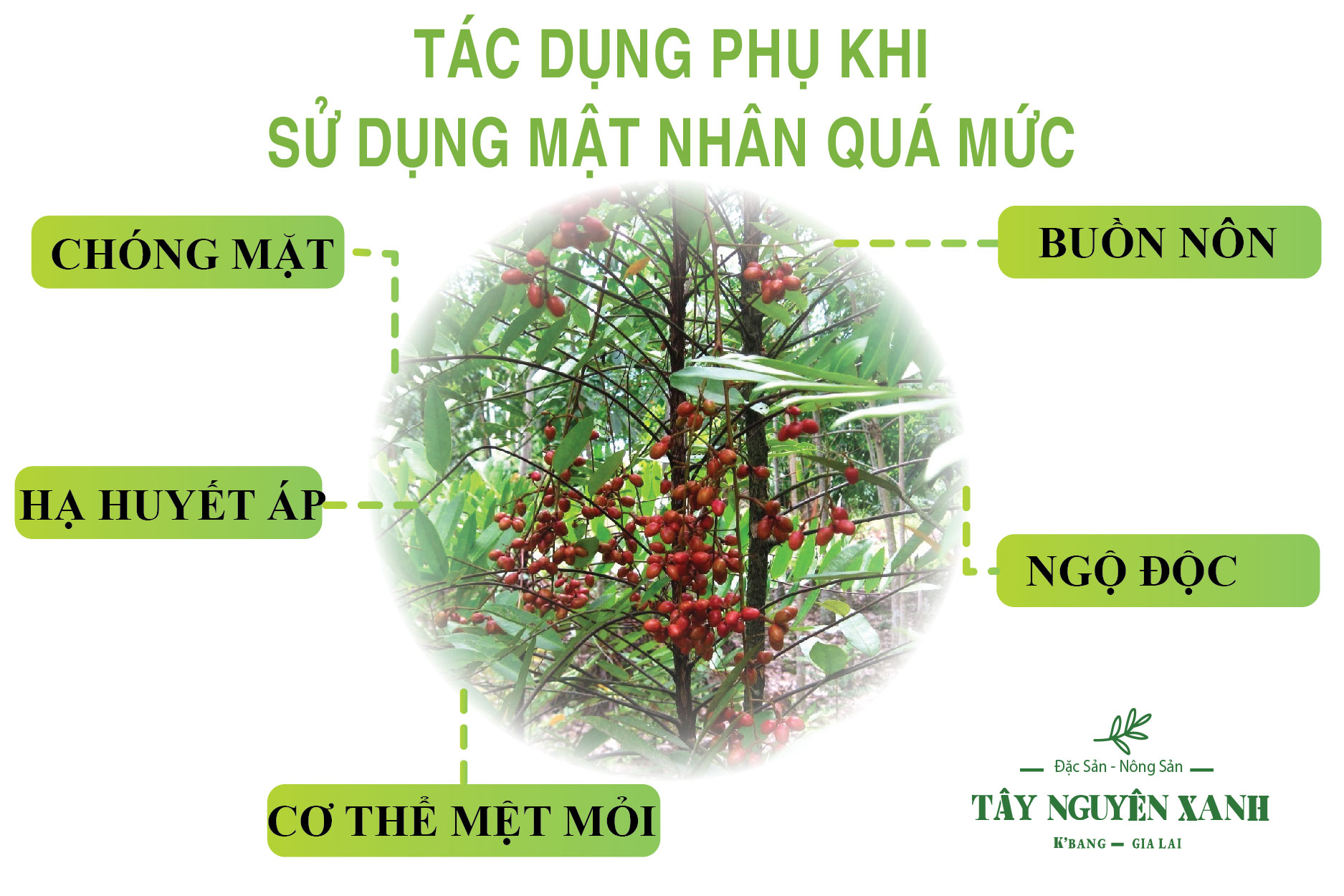 tác dụng phụ khi sử dụng mật nhân quá mức tác dụng phụ khi sử dụng mật nhân quá mức