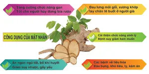 Những Thông Tin Hữu Ích Của Cây Mật Nhân