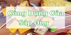 Top 12 thông tin hữu ích về công dụng của sáp ong không nên bỏ qua
