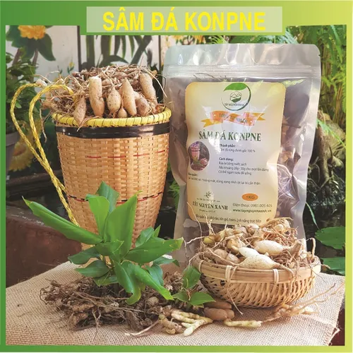 Sâm Đá Kbang Cây Sâm Khỏe
