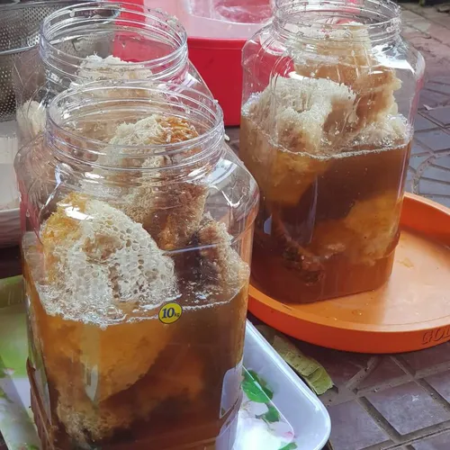 Mật Ong Rừng Nguyên Tổ
