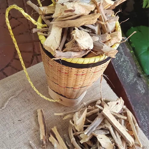 Rễ Khỏe Kon Pne Sâm Khỏe Kbang