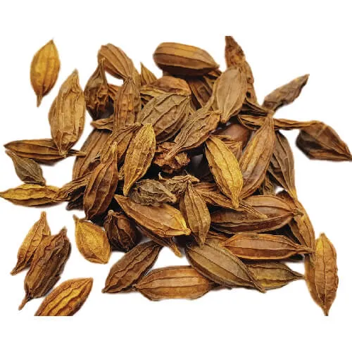 Khổ Qua Rừng Không Gai